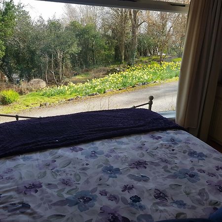 Hollybanks Leilighet Moycullen Rom bilde