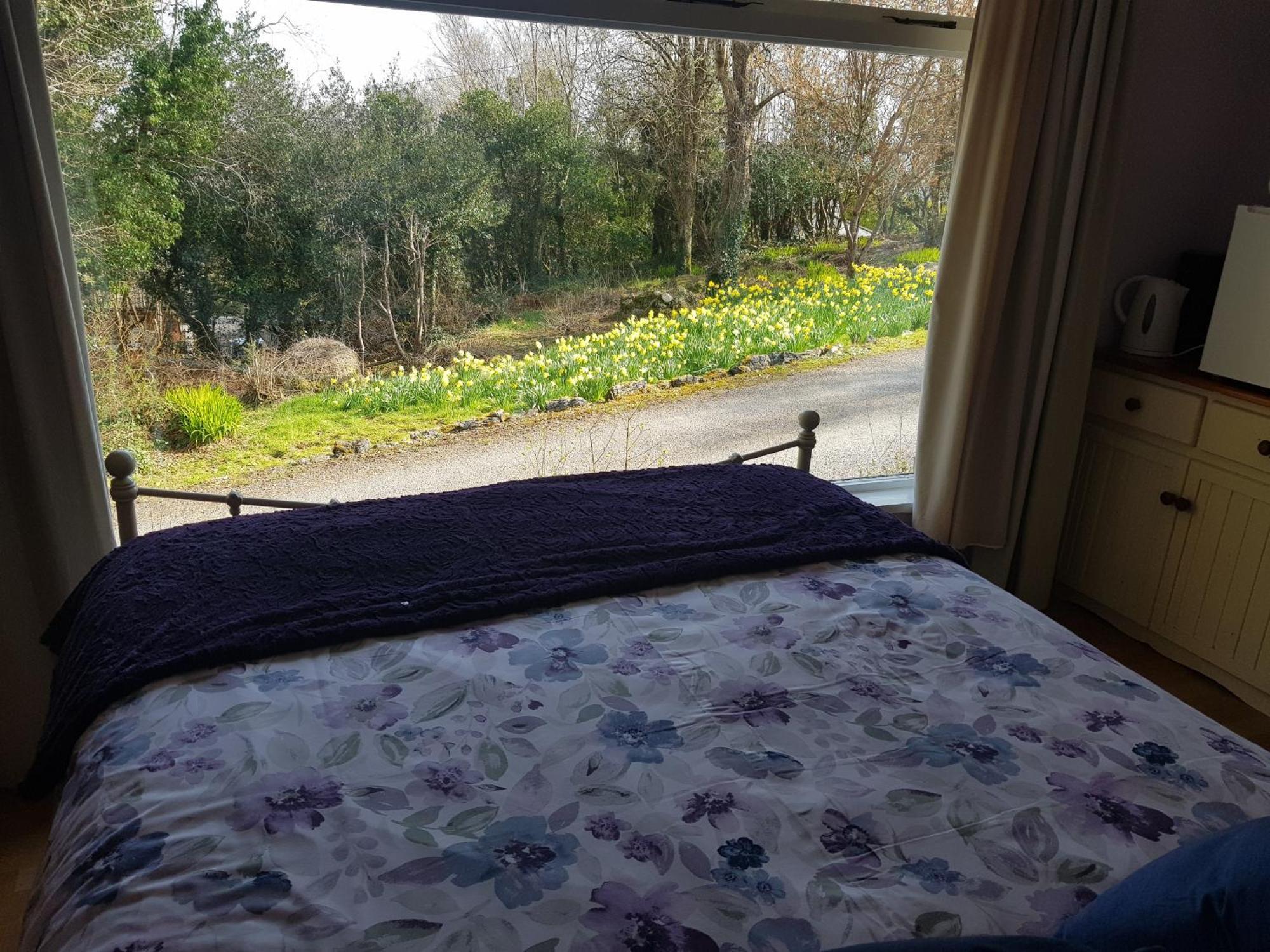 Hollybanks Leilighet Moycullen Rom bilde